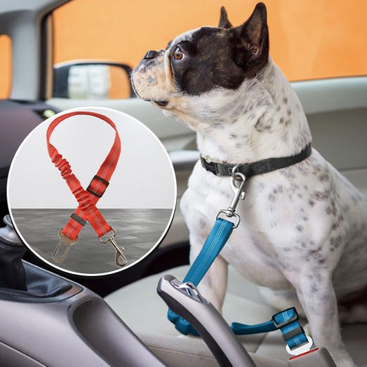 Ceinture chien voiture