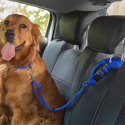 Ceinture de sécurité pour chien