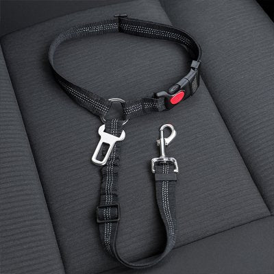 Ceinture de sécurité pour chien