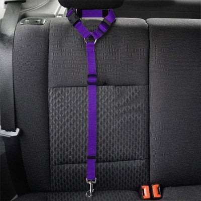 Ceinture de sécurité pour chien