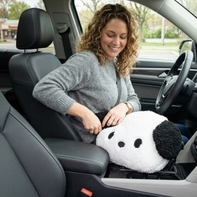 Coussin lombaire voiture