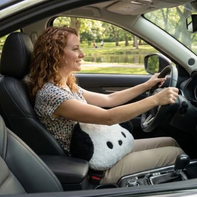 Coussin lombaire voiture