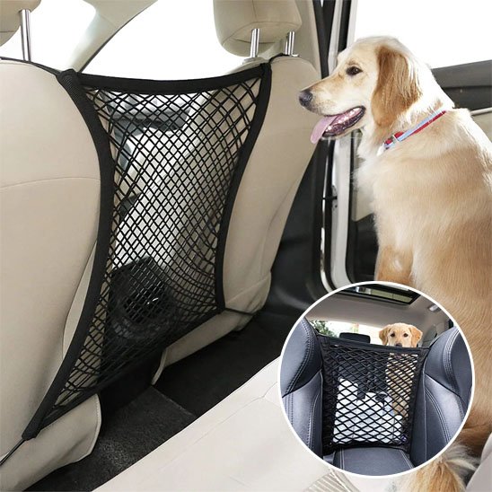 Filet pour chien voiture