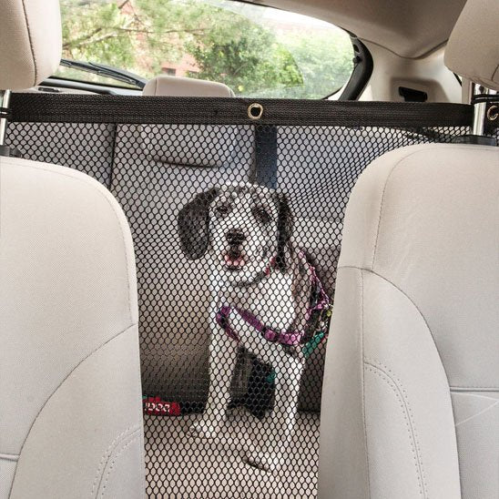 Filet pour chien voiture