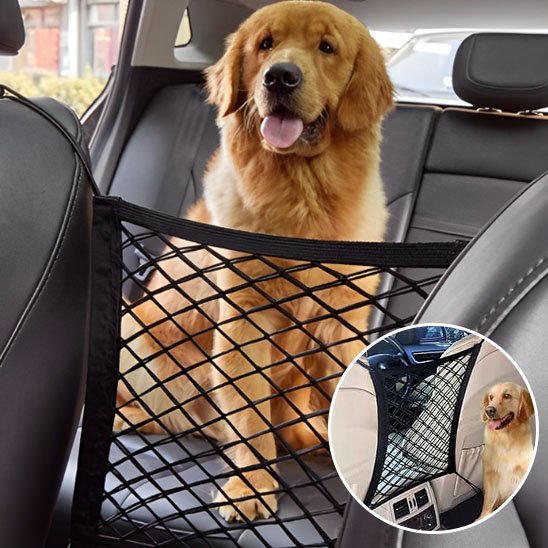 Filet pour chien voiture