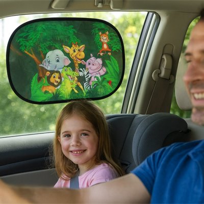 Pare soleil voiture