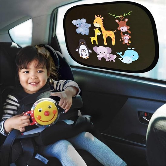 Pare soleil voiture