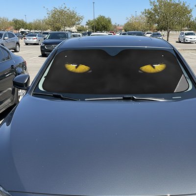 Pare soleil voiture