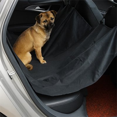 Protection chien voiture