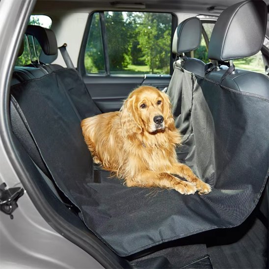 protection voiture chien