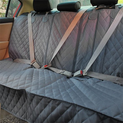 protection voiture chien