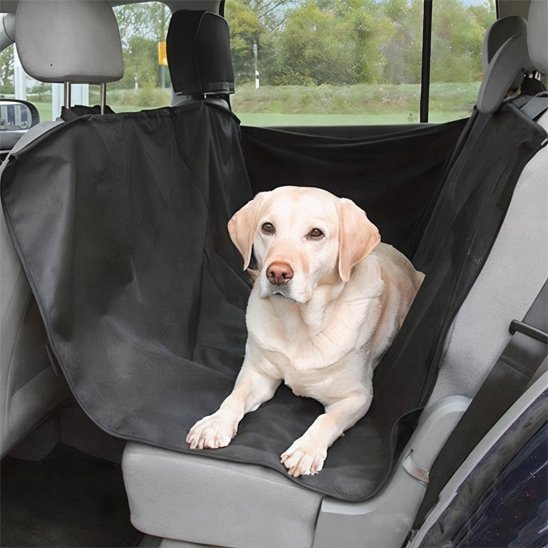 protection voiture chien