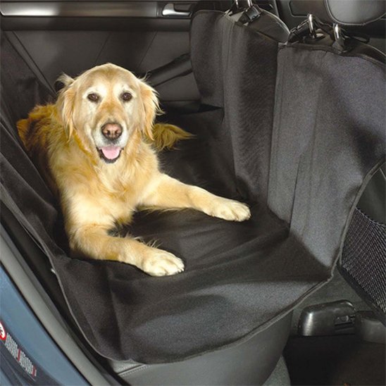 protection voiture chien