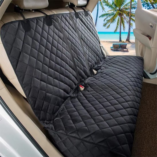 protection voiture chien