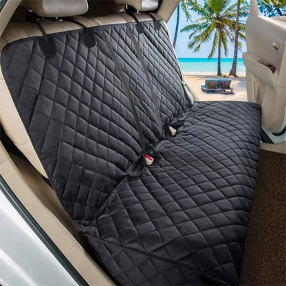 protection voiture chien