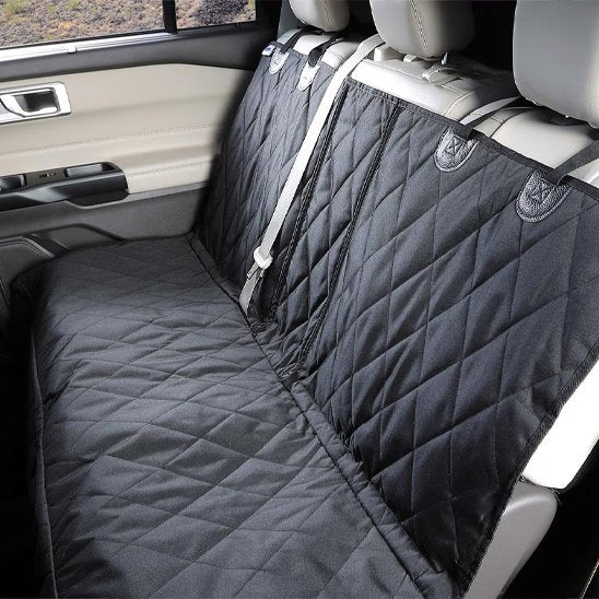 protection voiture chien