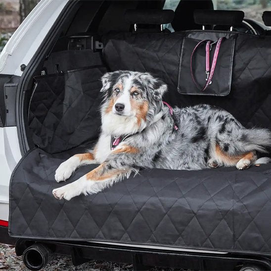 tapis de coffre voiture