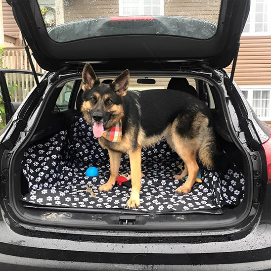 tapis de coffre voiture